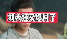 刘大锤最新爆料大神是谁,最新爆料大神身份大起底！